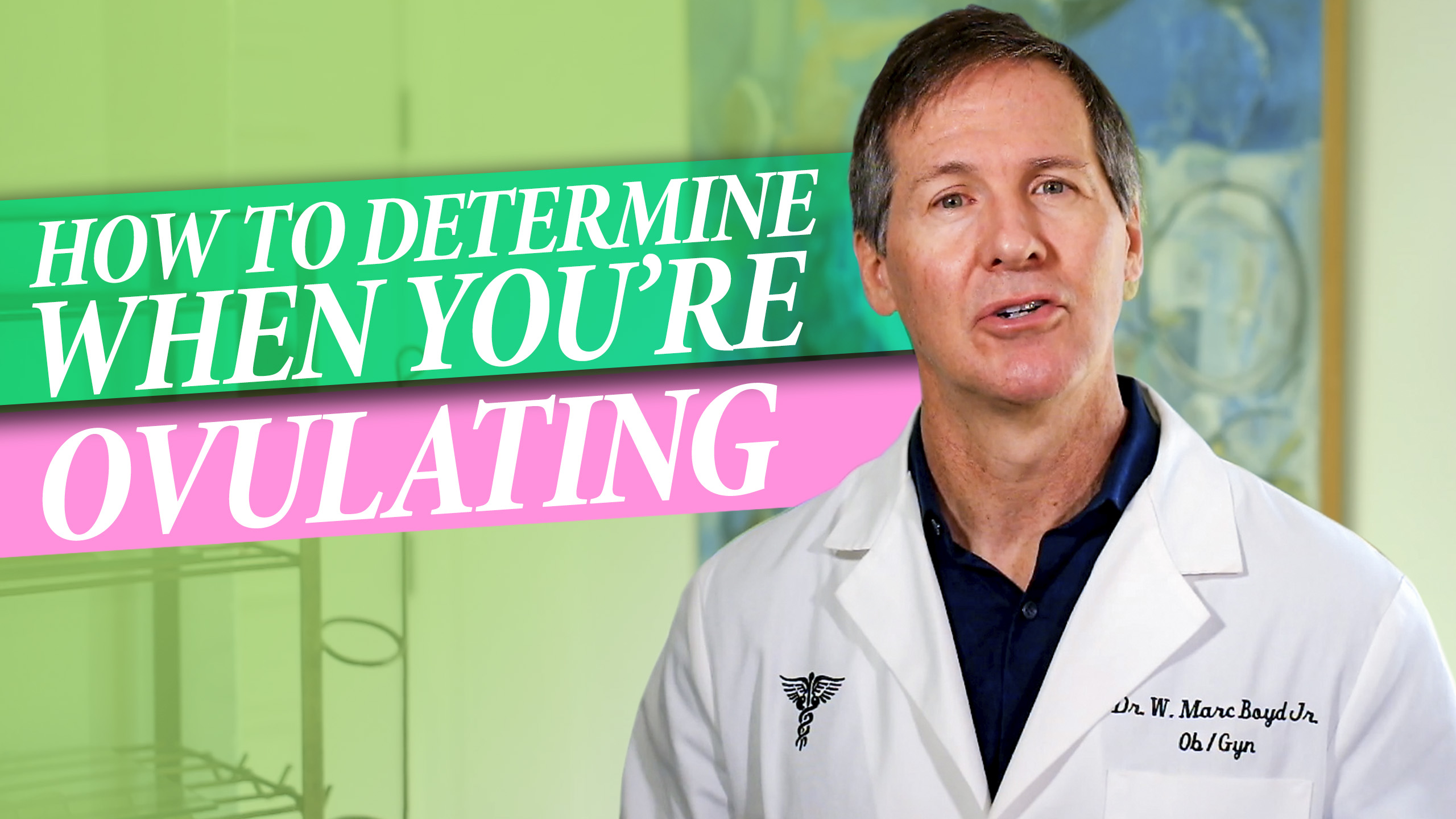 how to determine if you are ovulating
